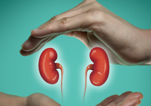 Is Keto Bad for the Kidneys? An Expert's Perspective